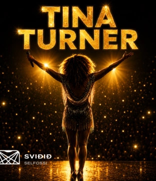Tina Turnar Heiðurstónleikar